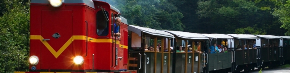 Kolejka wąskotorowa